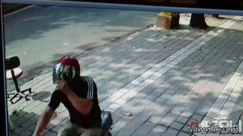 خفاش شب گیلان