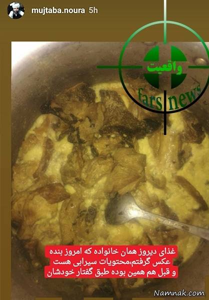 گوشت گربه