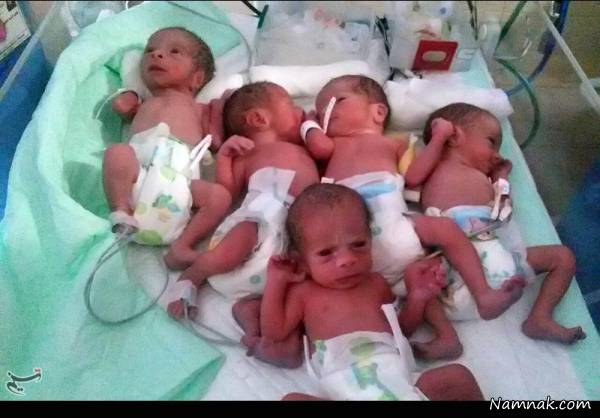 6 قلو 6 قلوهای تبریزی