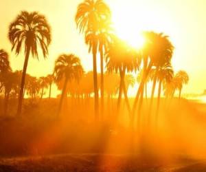 وضعیت آب و هوای تهران