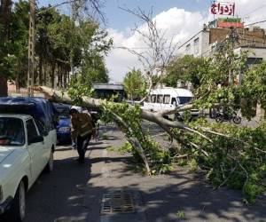 وزش باد شدید