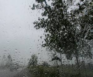 هواشناسی