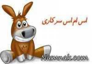 اس ام اس سرکاری