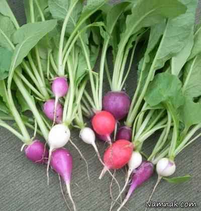 ترب و نقش آن در کاهش وزن ترب برای لاغری