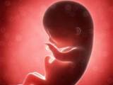 هفته-دوازدهم-بارداری