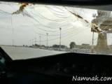 هواپیما