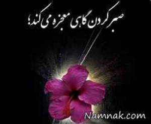 ضرب المثل یک صبر کن