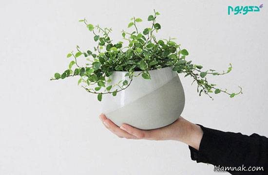 دکوراسیون منزل با ظروف سرامیکی +تصاویر ظروف سرامیکی