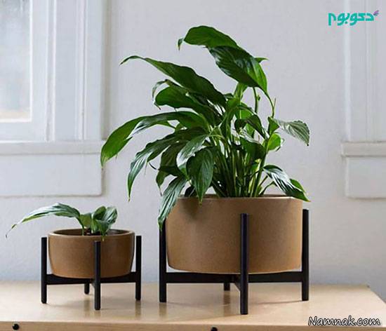 دکوراسیون منزل با ظروف سرامیکی +تصاویر ظروف سرامیکی