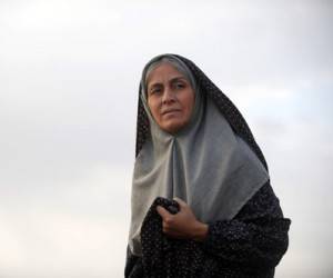 مریلا زارعی