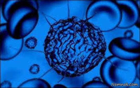 اعجاز سلول های بنیادی در بازگشت بینایی بازگشت بینایی