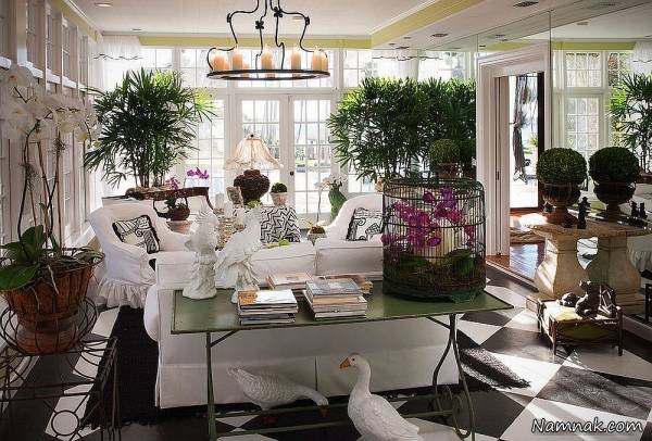 گیاهان تزیینی منزل گیاهان منزل