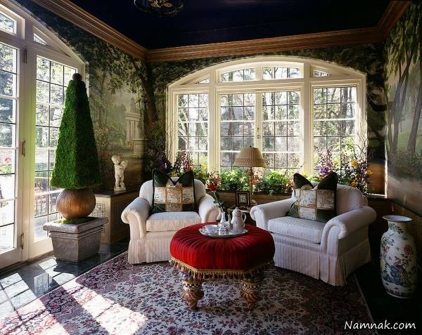 گیاهانی تزیینی برای منزل تزیین منزل