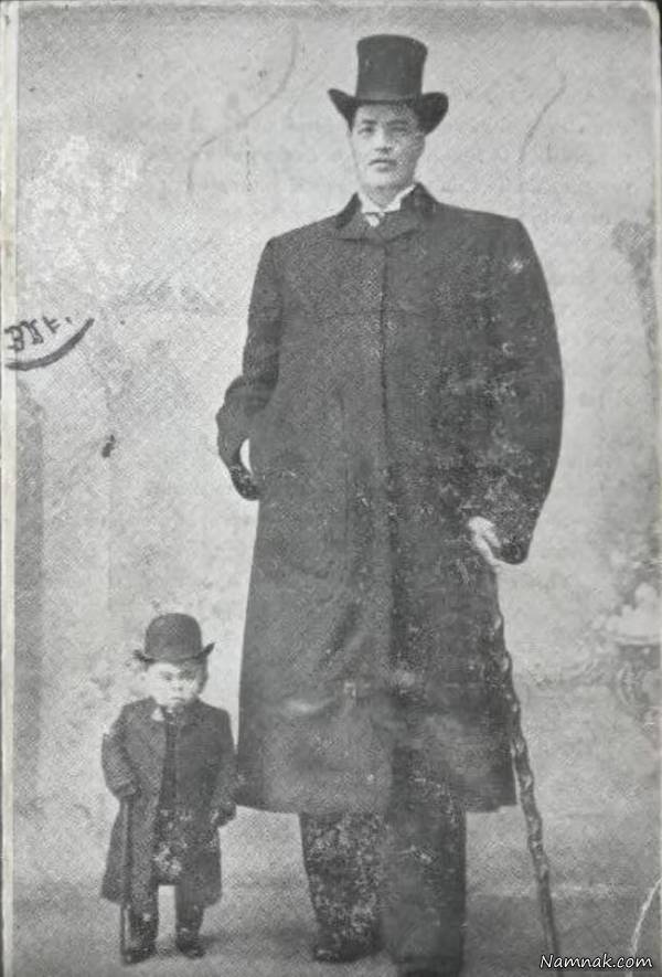 زندگی آدام راینر