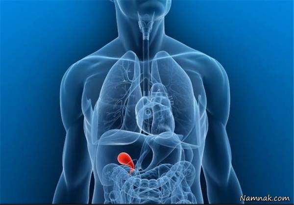 کار بدن انسان در یک دقیقه