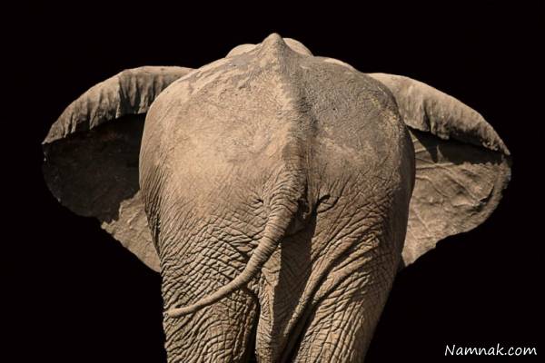 13 حقیقت جالب