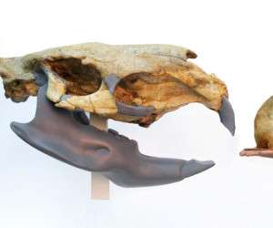 ترسناک ترین حیوانات