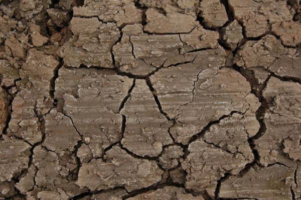 خوردن این خاک باعث لاغری می شود!