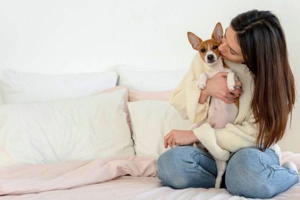 انتقال ویروس کرونا