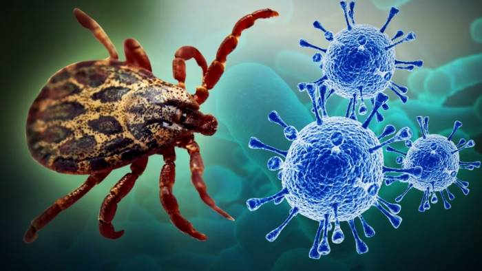 ویروس SFTS ویروس sfts