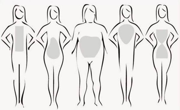 انواع فرم بدن