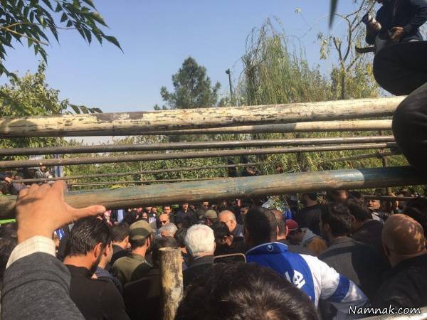 خاکسپاری پورحیدری