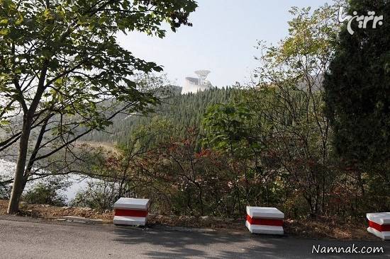 معبد راهبان شائولین در چین راهبان معبد شائولین