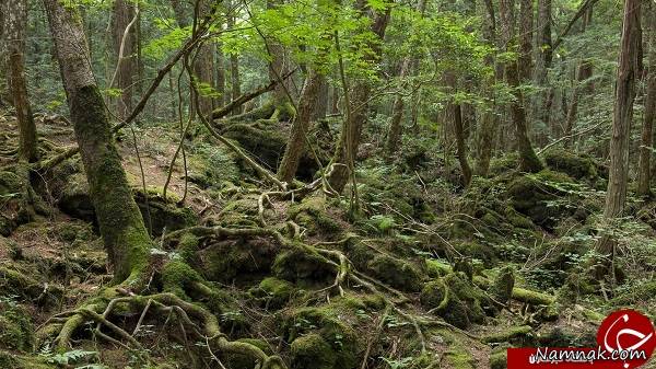 مخوف ترین نقاط