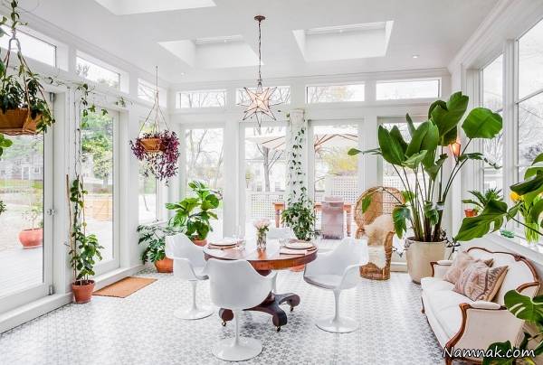 گیاهان تزیینی منزل تزیین منزل با گیاه