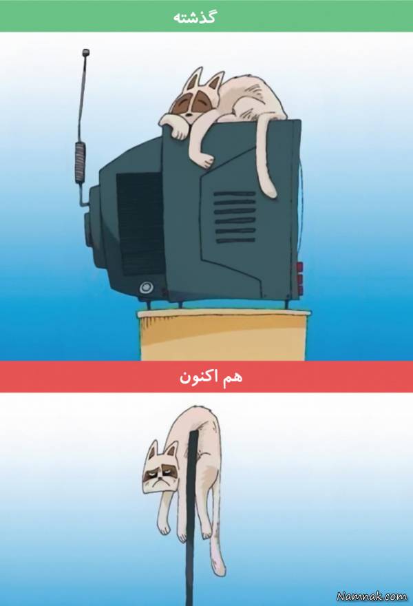 پیشرفت تلویزیون