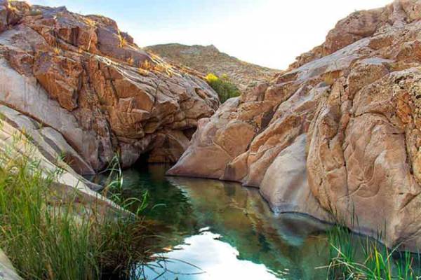 جاذبه های گردشگری مشهد