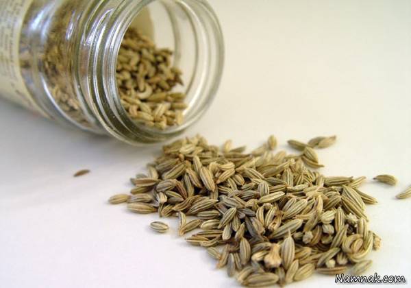  چاشنی غذاهای گیاهی