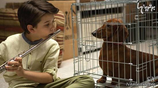 فیلم وینر داگ