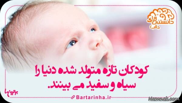 دانستنیها دانستنیها