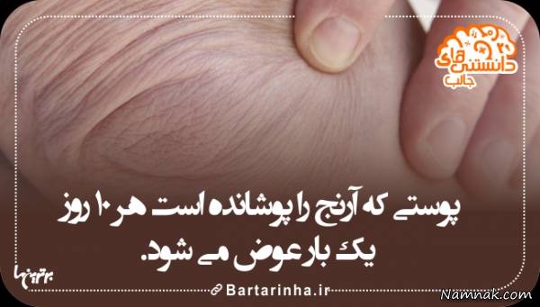 دانستنیهای تصویری دانستنیهای تصویری