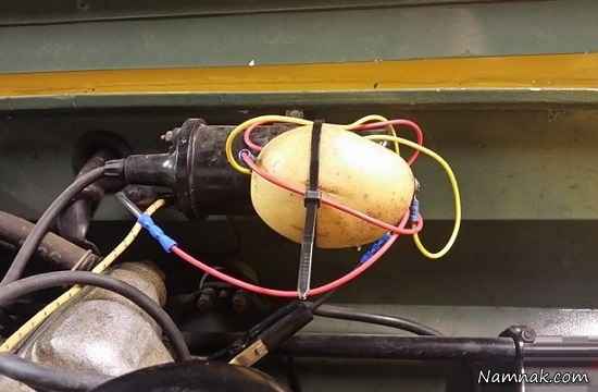 سیب زمینی تعمیرکار