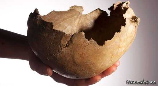 جمجمه انسان