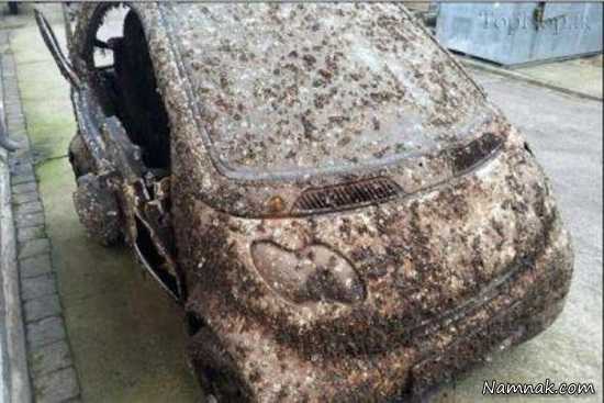 ماشین جالب ماشین سرقتی