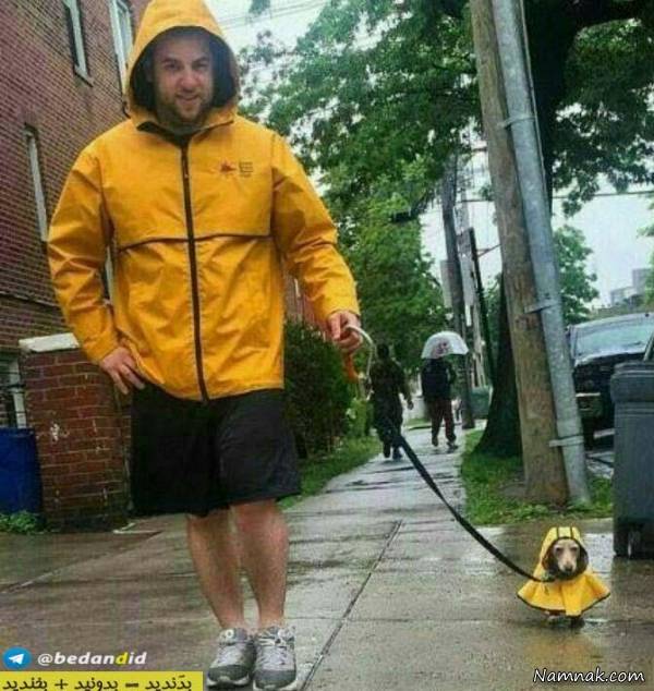 عکسهای خنده دار