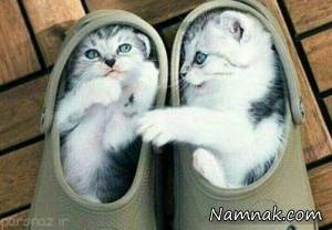 عکس های خنده دار