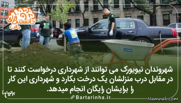 دانستنی ها دانستنی ها