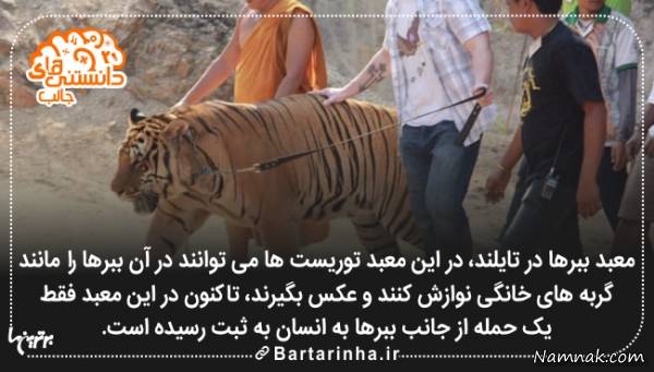 دانستنی ها دانستنی ها