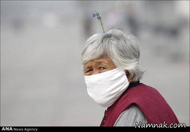 گل و گیاه