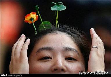 گل و گیاه