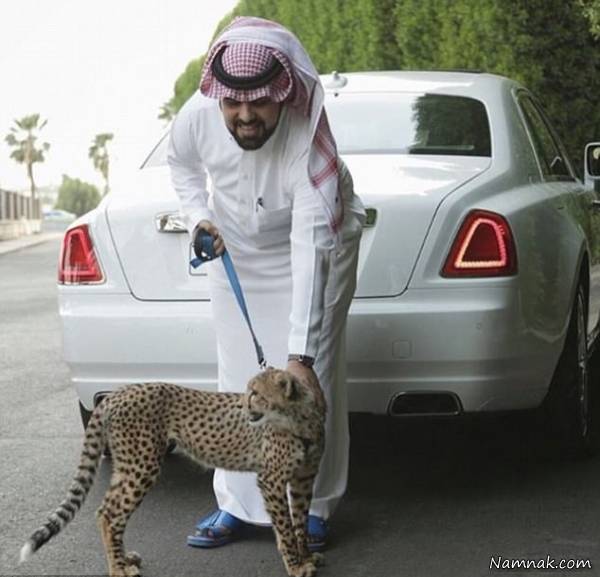 جوانان سعودی