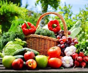 از بین بردن پشه های میوه