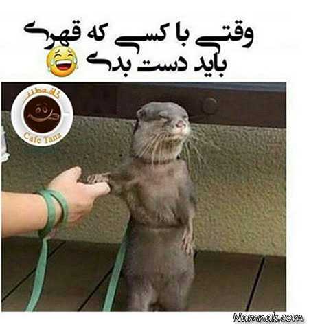 عکس های خنده دار اینستاگرام
