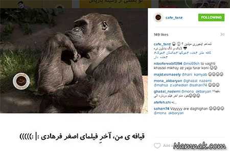 عکس های خنده دار اینستاگرام