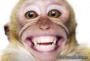 عکس های خنده دار