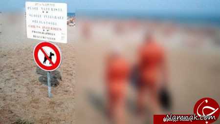 شهر برهنگان